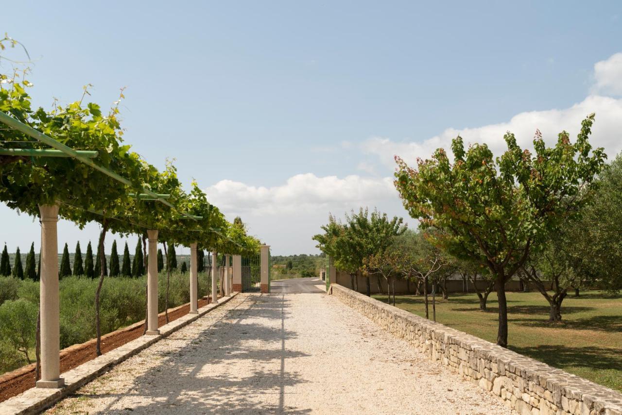 Villa Albina & Domenica Zadar Exteriér fotografie